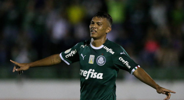 palmeiras