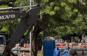 Avenida São Paulo será liberada na quinta-feira