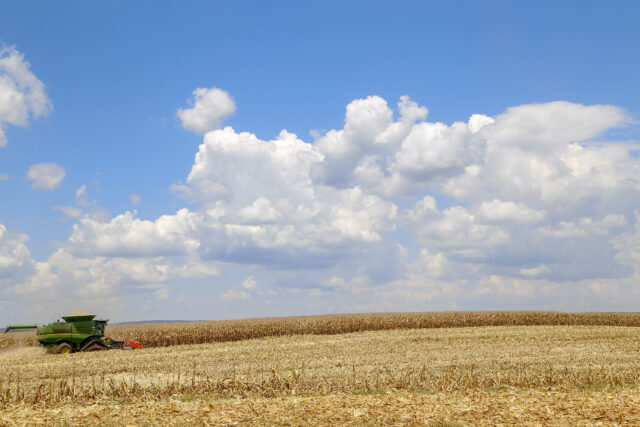 Colheita de milho - 2021. Foto: Gilson Abreu/AEN
