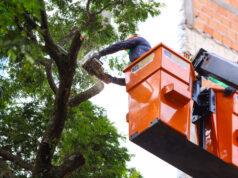 Moradores poderão contratar empresas credenciadas para serviços de poda e corte